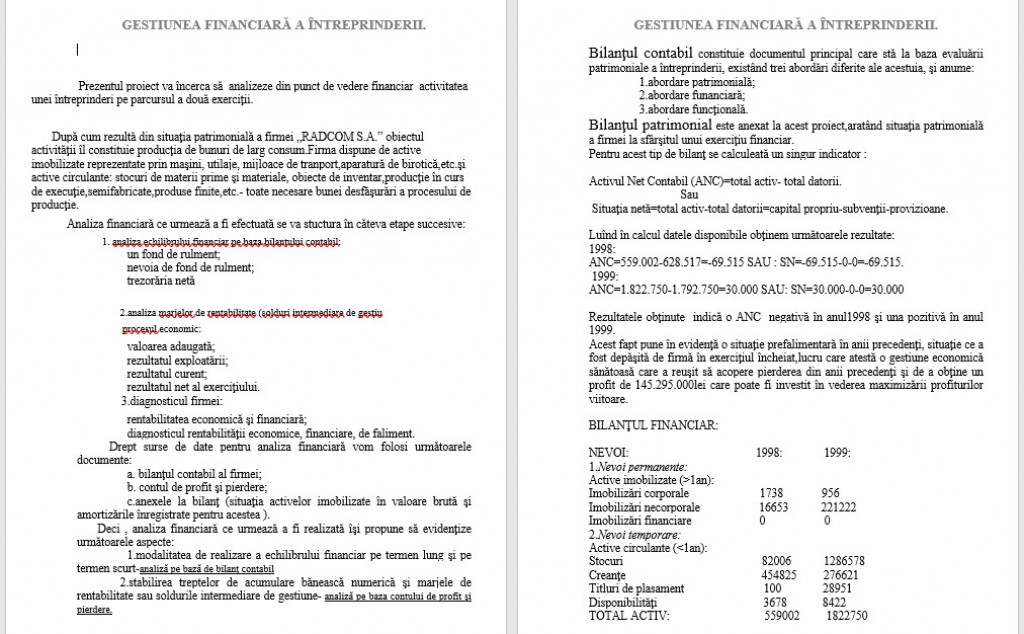 Gestiunea Financiara A Interprinderii
